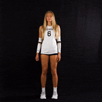 Jump Volleyball GIF by Purdue Fort Wayne Athletics