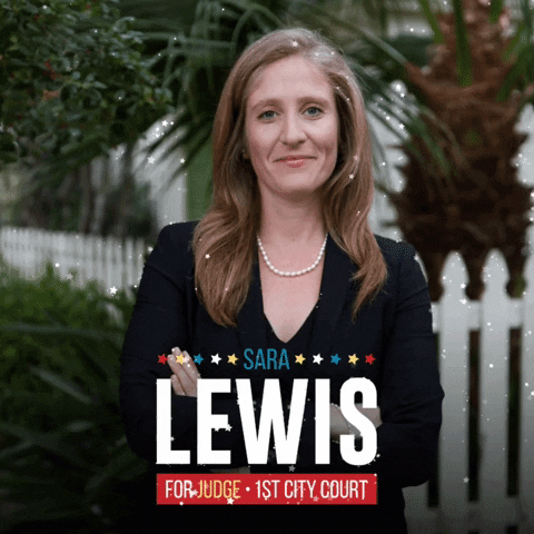LewisForJudge giphyupload new orleans june 20th sara lewis GIF