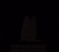 Jew Rabbi GIF