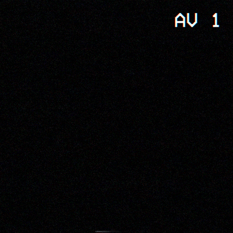 leonardosonegob0bd giphyupload GIF