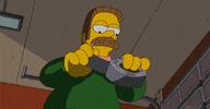 ned flanders GIF