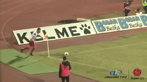 dalibormilojic giphygifmaker autogol GIF