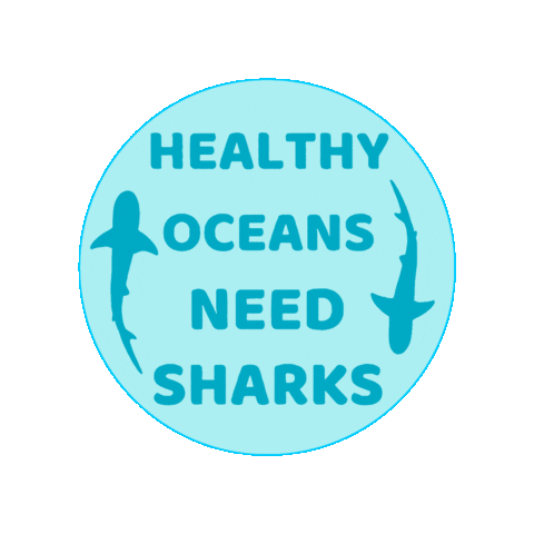 Ocean Shark Sticker by Fin Pin Shop