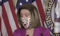 Nancy Pelosi GIF by GIPHY News
