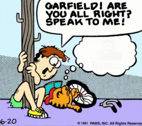 Friday Feeling Garfield GIF