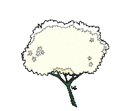 Flower Spring Sticker