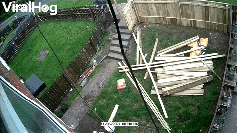 Guy Tearing Down Fence Takes A Tumble GIF by ViralHog