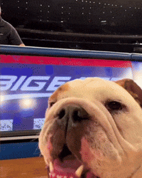 GIF by Butler University