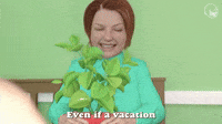 Vacation Is A Worth While Investment