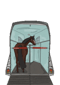 horzdrive horsetrailer pferdeanhänger horzdrive verladetraining Sticker