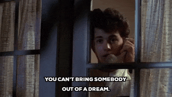 johnny depp you cant bring somebody out of a dream GIF