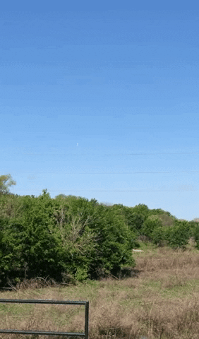 ehdgus1211 giphyupload GIF