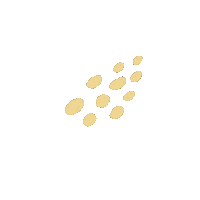 Dots Effects Sticker by 1910-museum