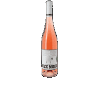 FamilleRouvinez rose bio vin valais Sticker