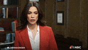 Season 24 Nbc GIF by Law & Order