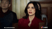Season 24 Nbc GIF by Law & Order