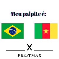 Copa Do Mundo Brazil Sticker by Protmax
