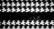 branded to kill GIF by Maudit