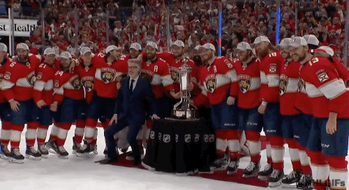 Stanley Cup Playoffs Hockey GIF by NHL