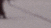 Numberi Gbad GIF