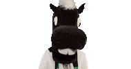 Bundesliga Diefohlen Sticker by Borussia Mönchengladbach