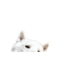 Dog Hello Sticker