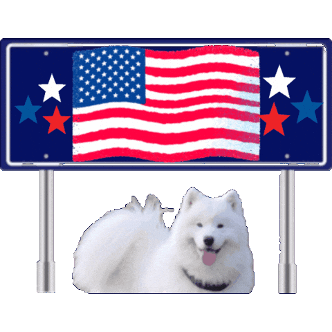 States Usa Sticker