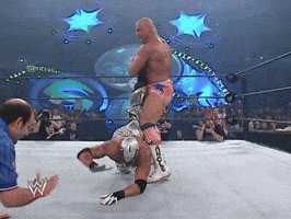 wwe sports wwe wrestling 2002 GIF