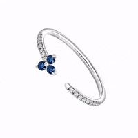 aristocrazy  GIF