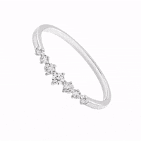 aristocrazy  GIF