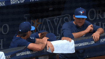 Blue Jays Baseball GIF by Toronto Blue Jays