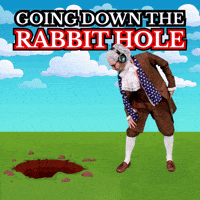 Investigating Rabbit Hole GIF