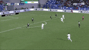 milan GIF by nss sports