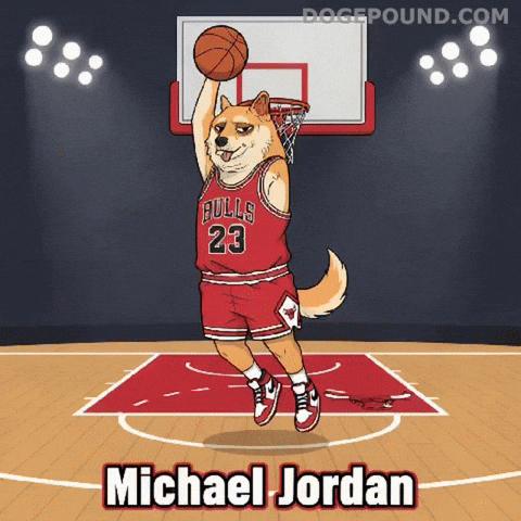 Winning Chicago Bulls GIF by Doge Pound
