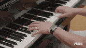 GIF by The Public Theater