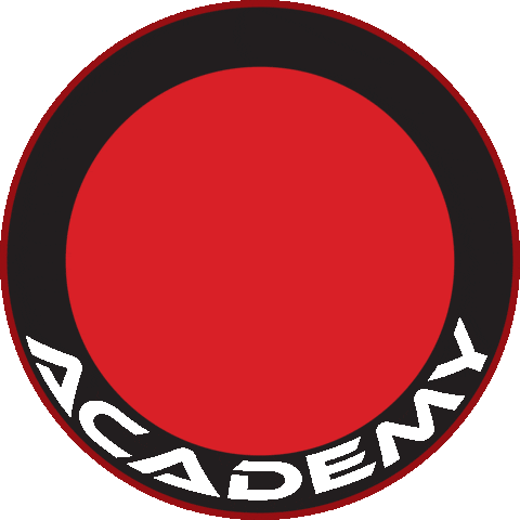 bjj bjjangola Sticker by puroacademy