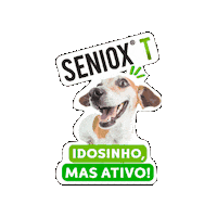 Avert360 Sticker by Avert Saúde Animal