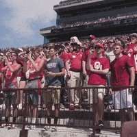 Boomer Sooners GIF by University of Oklahoma