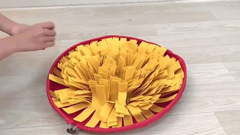 LuizaG giphyupload GIF