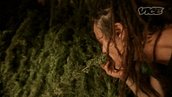 Weed Smelling GIF by VICE España