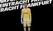 Bundesliga Yes GIF by Eintracht Frankfurt