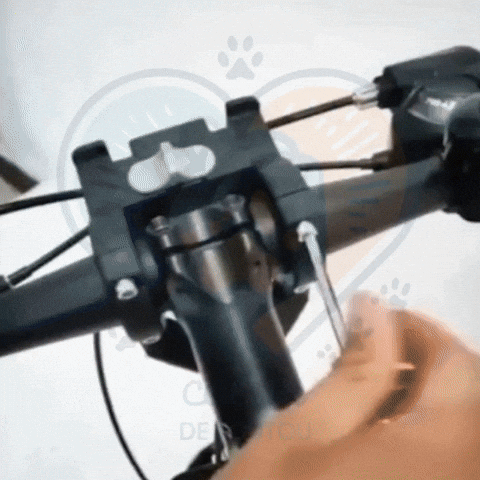 GIF panier vélo chien BikeExplorer