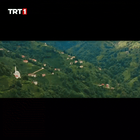 Good Morning Flowers GIF by TRT