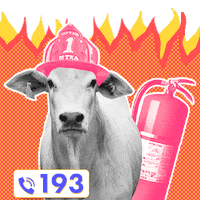 Meio Ambiente GIF by Modefica