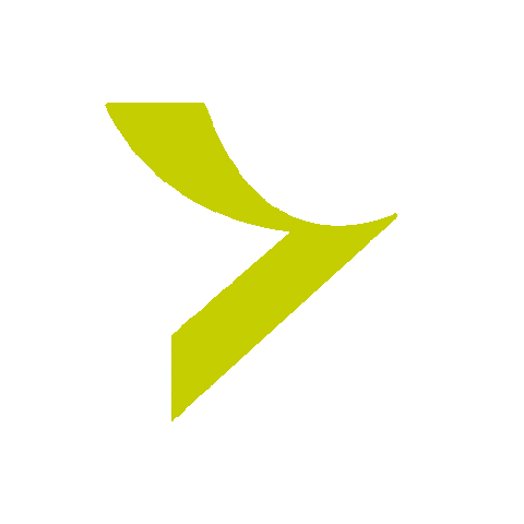 Directcz Sticker by Direct pojišťovna