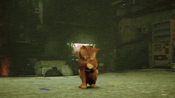 Cat GIF by Annapurna Interactive