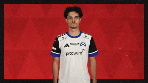 Hamburger Sv Football GIF by Bundesliga