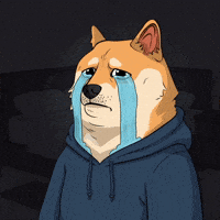 Sad Shiba Inu GIF by Doge Pound