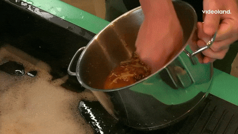 giphy.gif