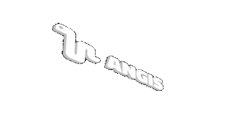 angisnet giphyupload Sticker